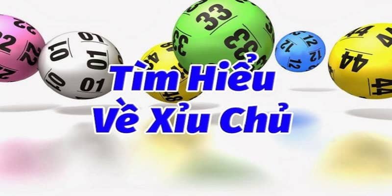 Khám phá cách chơi xỉu chủ